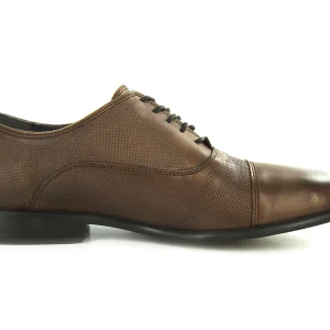 Zapatos Fabian Arenas 2-51 Para Hombre