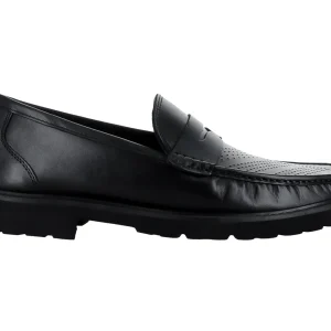 Zapatos Gino Cherruti 5103 Para Hombre