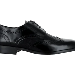 Zapatos Evolucion 20704 Para Hombre