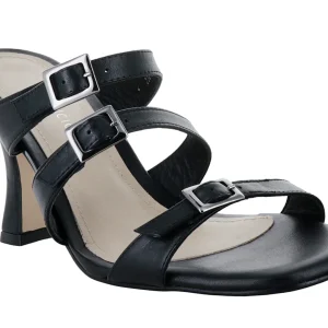 Zapatillas Ascencio 23073 Para Mujer