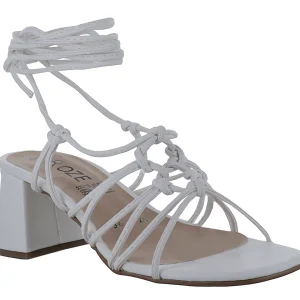 Zapatillas Sary 3658 Para Mujer