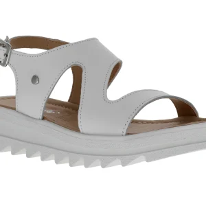 Sandalias Elefante 12512 Para Niña