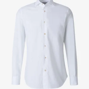 Camisa Vestir Algodón