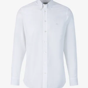 Camisa Lisa Algodón