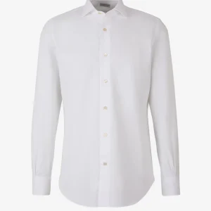 Camisa Lisa Algodón