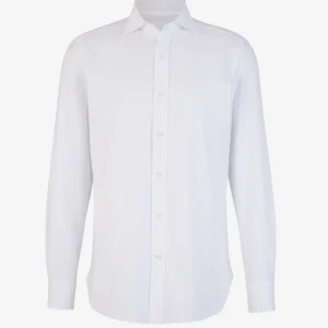 Camisa Lisa Algodón