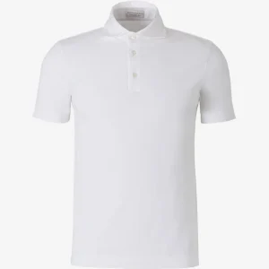 Polo Clásico Algodón