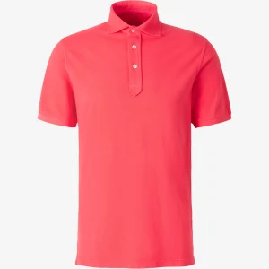 Polo Piqué Algodón