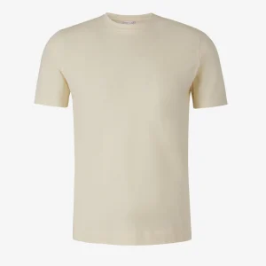 Camiseta Lisa Algodón