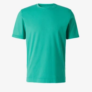 Camiseta Lisa Algodón