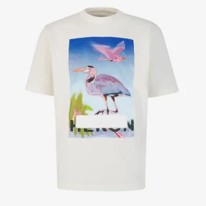 Camiseta Gráfico Estampado