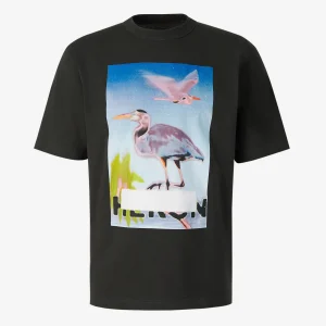 Camiseta Gráfico Estampado